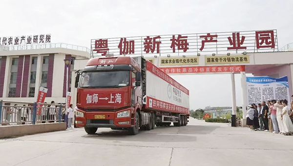 欧博打通农产品出疆“最鲜一公里”